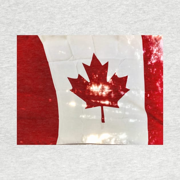 A beautiful Canadian flag. by Steves-Pics